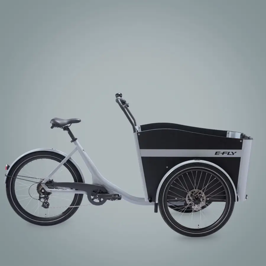 E-Fly Cargo RD